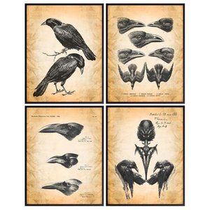 The Raven Crow Goth Gothic Poe Poem Wall Art Decor Rustic Vintage 4 Prints